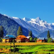 Arang kel IMG 1