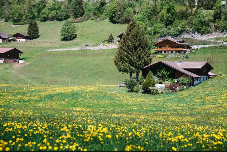 Naran