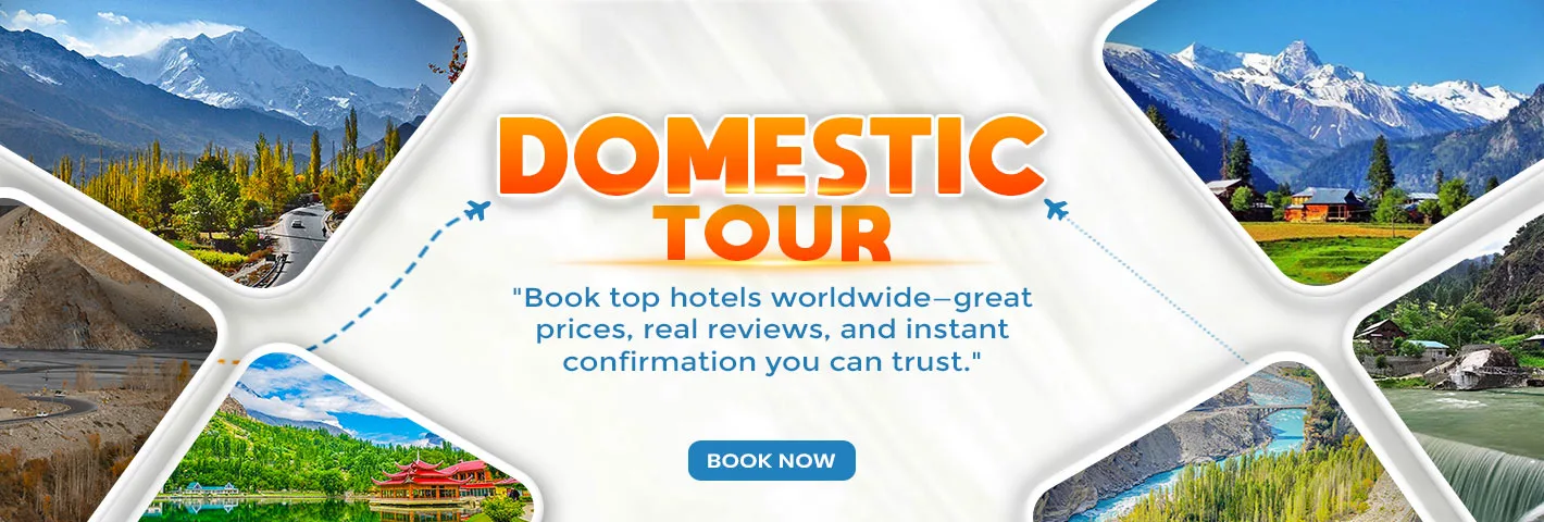 domestic tour banner